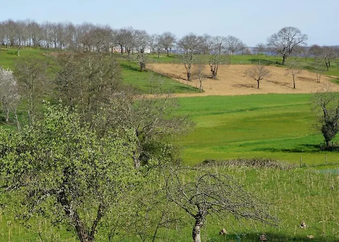 Casa Golden Holiday home
